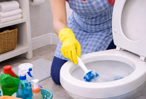 Bathroom Cleaning