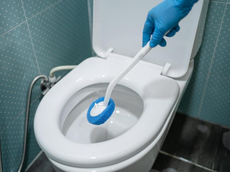 Bathroom Cleaning Bathroom Cleaning