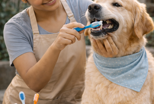 Dental Cleaning