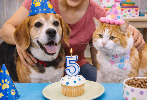 Pet Birthday Parties