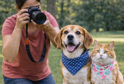Pet Photography