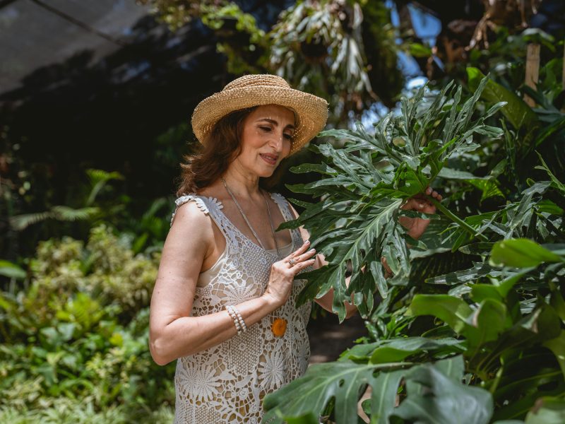 Plant & Gardening Accessories