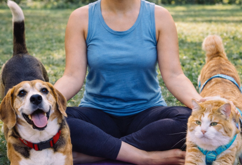 Yoga with Pets